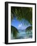 Palm Fronds and Beach, Rangiroa Atoll, Tuamotu Archipelago, French Polynesia, South Pacific Islands-Sylvain Grandadam-Framed Photographic Print