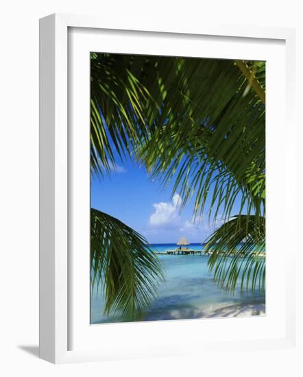 Palm Fronds and Beach, Rangiroa Atoll, Tuamotu Archipelago, French Polynesia, South Pacific Islands-Sylvain Grandadam-Framed Photographic Print