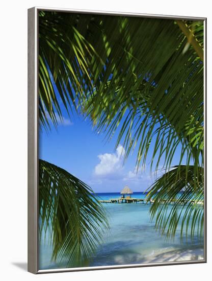 Palm Fronds and Beach, Rangiroa Atoll, Tuamotu Archipelago, French Polynesia, South Pacific Islands-Sylvain Grandadam-Framed Photographic Print