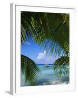 Palm Fronds and Beach, Rangiroa Atoll, Tuamotu Archipelago, French Polynesia, South Pacific Islands-Sylvain Grandadam-Framed Photographic Print