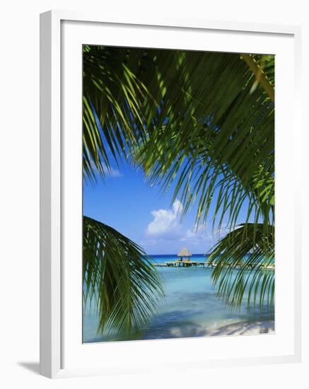 Palm Fronds and Beach, Rangiroa Atoll, Tuamotu Archipelago, French Polynesia, South Pacific Islands-Sylvain Grandadam-Framed Photographic Print