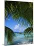 Palm Fronds and Beach, Rangiroa Atoll, Tuamotu Archipelago, French Polynesia, South Pacific Islands-Sylvain Grandadam-Mounted Photographic Print