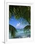 Palm Fronds and Beach, Rangiroa Atoll, Tuamotu Archipelago, French Polynesia, South Pacific Islands-Sylvain Grandadam-Framed Photographic Print