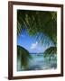 Palm Fronds and Beach, Rangiroa Atoll, Tuamotu Archipelago, French Polynesia, South Pacific Islands-Sylvain Grandadam-Framed Photographic Print