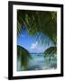 Palm Fronds and Beach, Rangiroa Atoll, Tuamotu Archipelago, French Polynesia, South Pacific Islands-Sylvain Grandadam-Framed Photographic Print