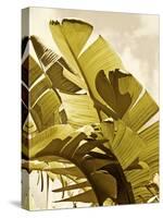 Palm Fronds I-Rachel Perry-Stretched Canvas