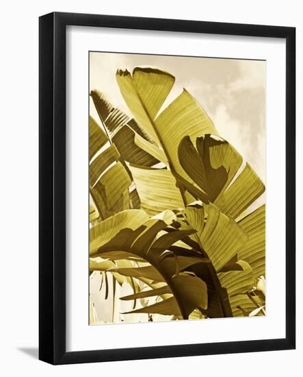 Palm Fronds I-Rachel Perry-Framed Art Print