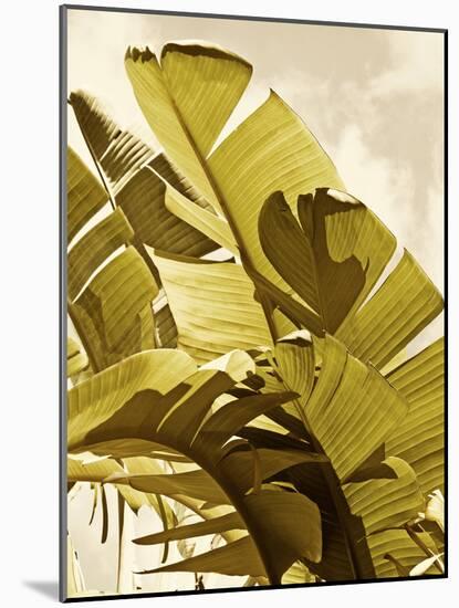 Palm Fronds I-Rachel Perry-Mounted Art Print