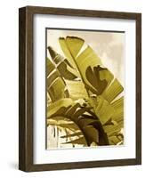 Palm Fronds I-Rachel Perry-Framed Art Print