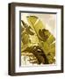 Palm Fronds I-Rachel Perry-Framed Art Print