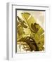 Palm Fronds I-Rachel Perry-Framed Art Print