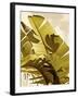 Palm Fronds I-Rachel Perry-Framed Art Print