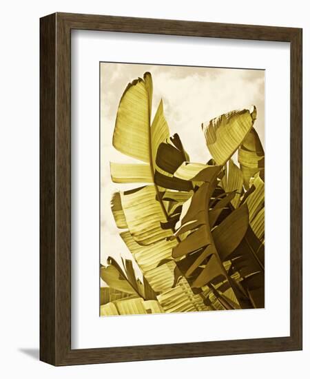 Palm Fronds II-Rachel Perry-Framed Art Print