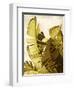 Palm Fronds II-Rachel Perry-Framed Art Print