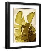 Palm Fronds III-Rachel Perry-Framed Art Print