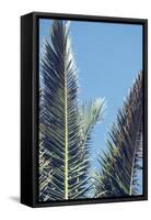 palm fronds in front of glorious blue sky,-Nadja Jacke-Framed Stretched Canvas