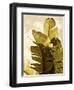 Palm Fronds IV-Rachel Perry-Framed Art Print