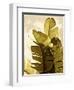 Palm Fronds IV-Rachel Perry-Framed Art Print