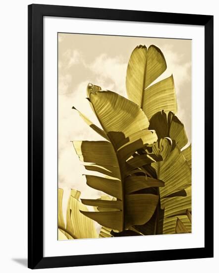 Palm Fronds IV-Rachel Perry-Framed Art Print