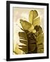 Palm Fronds IV-Rachel Perry-Framed Art Print