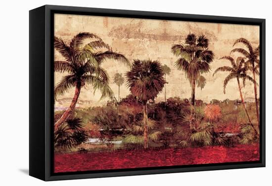 Palm Garden-John Seba-Framed Stretched Canvas