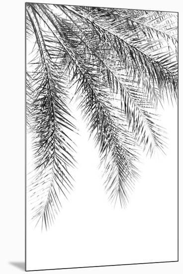 Palm Grace Noir-Irene Suchocki-Mounted Giclee Print