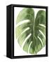 Palm Green I-PI Studio-Framed Stretched Canvas