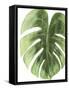 Palm Green I-PI Studio-Framed Stretched Canvas