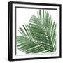 Palm Green I-Mia Jensen-Framed Art Print