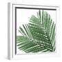 Palm Green I-Mia Jensen-Framed Art Print