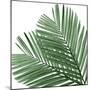 Palm Green I-Mia Jensen-Mounted Art Print