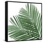 Palm Green I-Mia Jensen-Framed Stretched Canvas