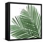 Palm Green I-Mia Jensen-Framed Stretched Canvas