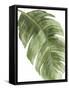 Palm Green II-PI Studio-Framed Stretched Canvas