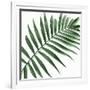 Palm Green II-Mia Jensen-Framed Art Print