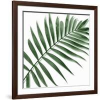 Palm Green II-Mia Jensen-Framed Art Print