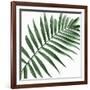 Palm Green II-Mia Jensen-Framed Art Print