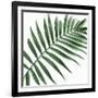 Palm Green II-Mia Jensen-Framed Art Print