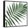 Palm Green II-Mia Jensen-Framed Stretched Canvas