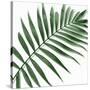 Palm Green II-Mia Jensen-Stretched Canvas