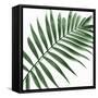 Palm Green II-Mia Jensen-Framed Stretched Canvas