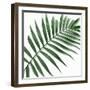 Palm Green II-Mia Jensen-Framed Art Print