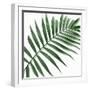 Palm Green II-Mia Jensen-Framed Art Print