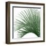 Palm Green IV-Mia Jensen-Framed Art Print