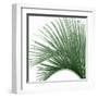 Palm Green IV-Mia Jensen-Framed Art Print