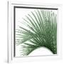 Palm Green IV-Mia Jensen-Framed Art Print