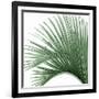 Palm Green IV-Mia Jensen-Framed Art Print