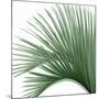 Palm Green IV-Mia Jensen-Mounted Art Print