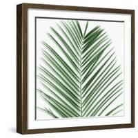 Palm Green V-Mia Jensen-Framed Art Print