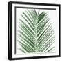 Palm Green V-Mia Jensen-Framed Art Print